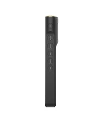 Sony Nw-WM1AM2 128GB Walkman Digital Music Player