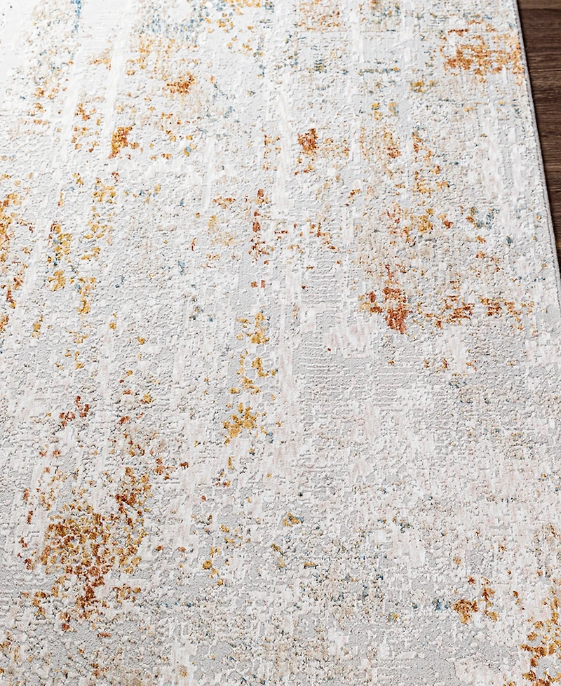 Livabliss Carmel Crl-2310 2'7x4' Area Rug