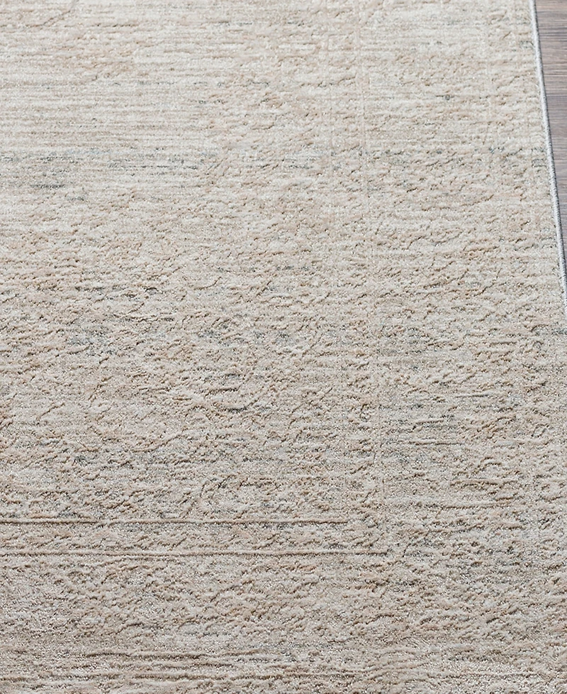 Livabliss Laila Laa-2301 2'x3' Area Rug