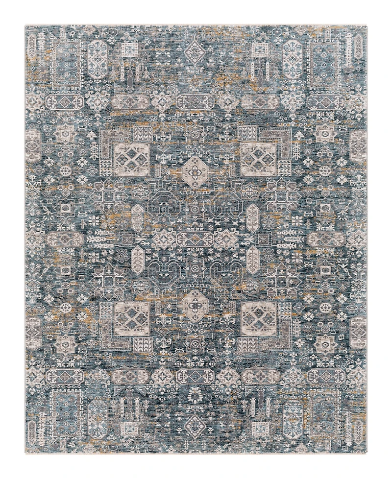 Livabliss Cardiff Cdf-2309 2'7x4' Area Rug