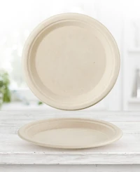 Cheer Collection 9 Inch Paper Plates