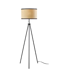 Adesso 58.5" Raven Floor Lamp
