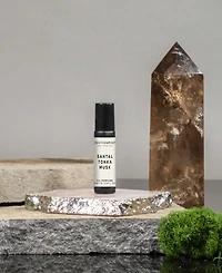 Environment Santal, Tonka & Musk Roll-On Oil Perfume (Inspired by 5-Star Luxury Hotels), 0.33 oz.