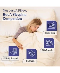 FluffCo Down & Feather Classic Hotel Pillow - Standard - Soft