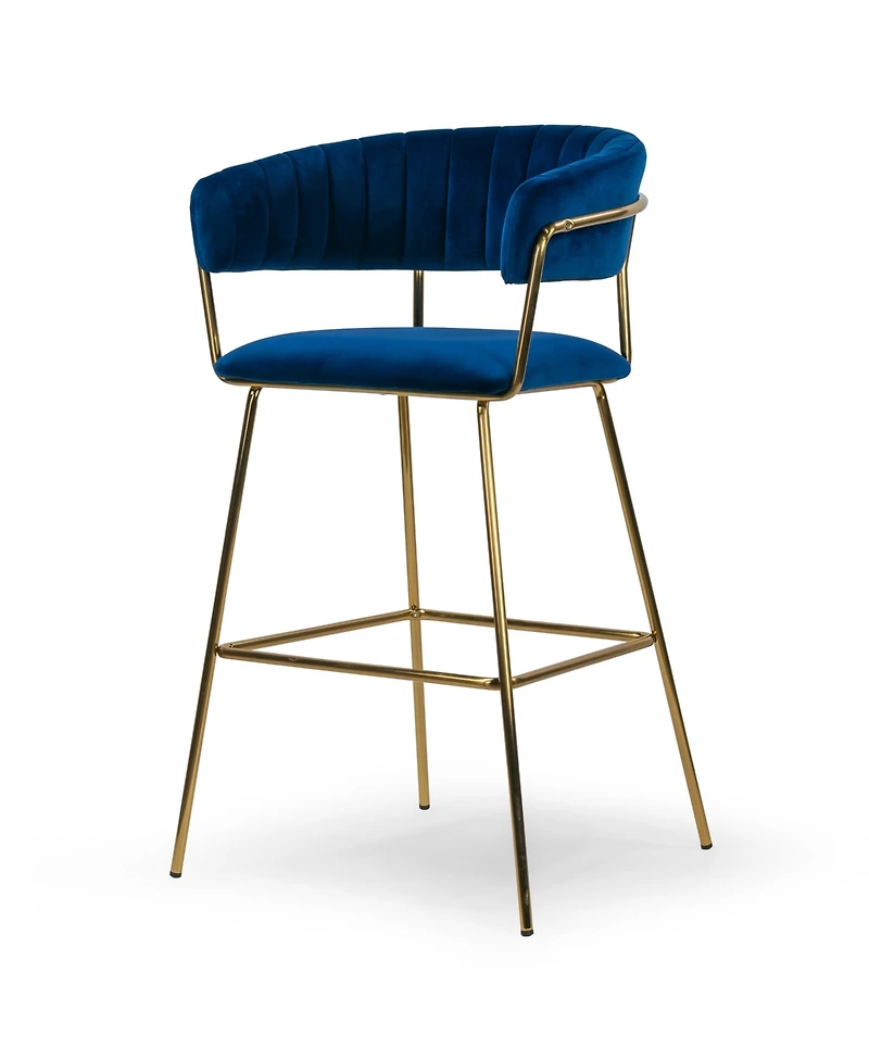 Glamour Home 30" Anya Fabric, Metal Barstool, Set of 2