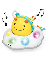 Skip Hop Explore & More Follow-Bee Crawl Toy