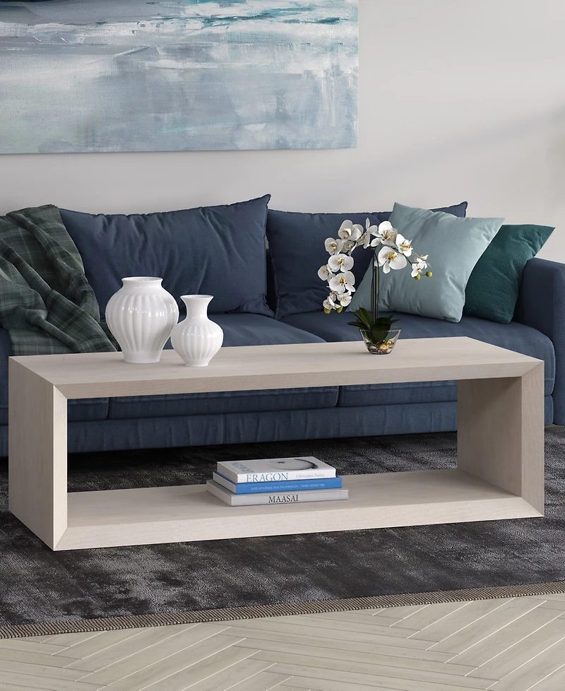 Hudson & Canal Osmond 58" Wide Rectangular Coffee Table in Alder White