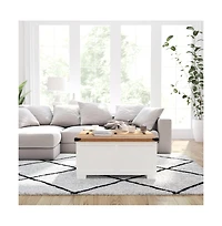 Green River Farmhouse Storage Coffee Table