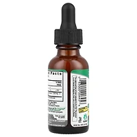Nature's Answer Milk Thistle Seed Fluid Extract Alcohol-Free 2 000 mg - 1 fl oz (30 ml)