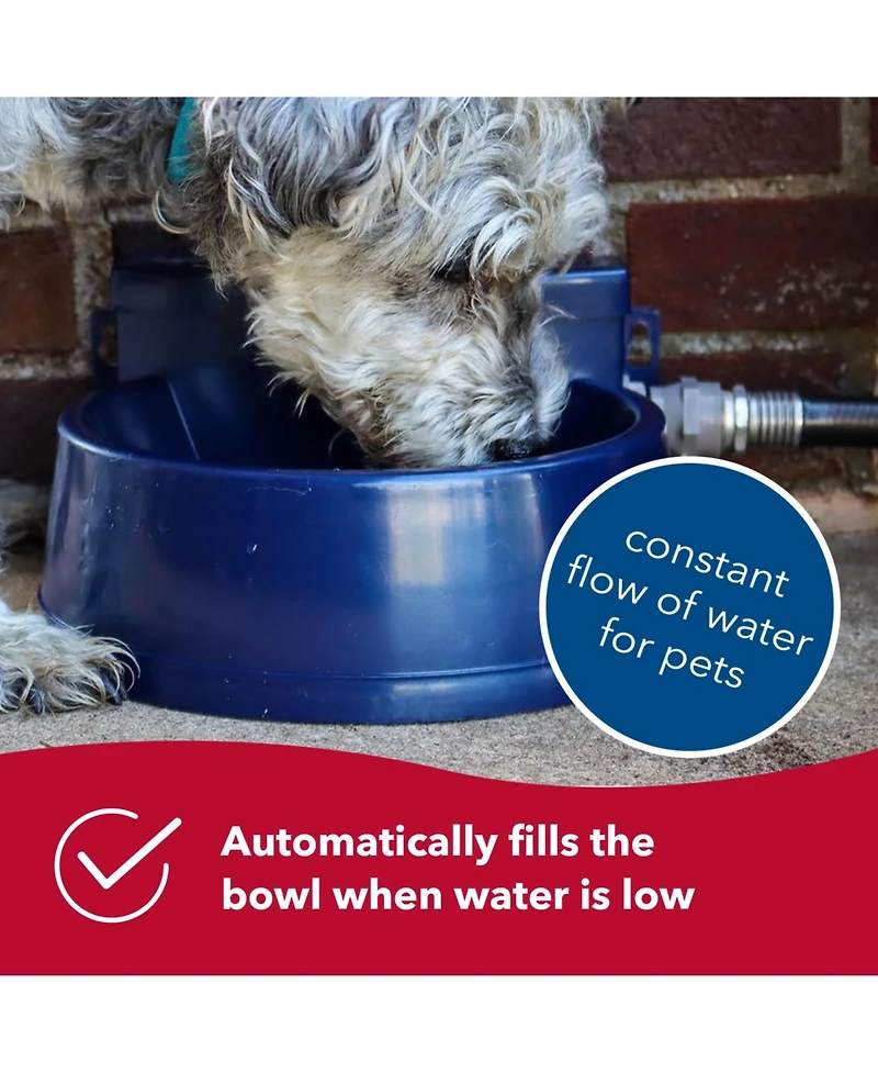 Coastal Pet Bergan Auto-Wata - Backyard & Patio Automatic Water Bowl for Cat, Dog and Other Pets - Navy - 1.5 qts / 48 oz.