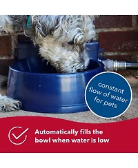 Coastal Pet Bergan Auto-Wata - Backyard & Patio Automatic Water Bowl for Cat, Dog and Other Pets - Navy - 1.5 qts / 48 oz.