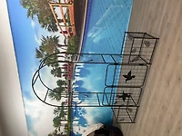 Streamdale Furniture Metal Garden Arch for Support and Events