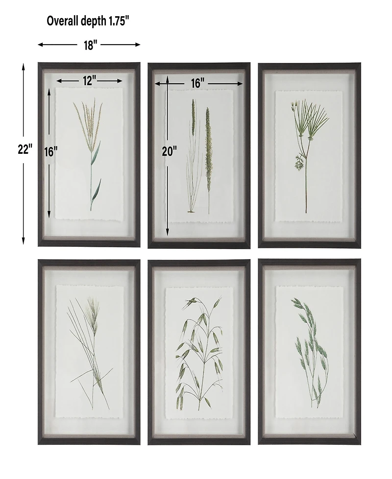 Uttermost Forest Finds Framed Prints Art, Set of 6