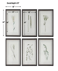 Uttermost Forest Finds Framed Prints Art, Set of 6