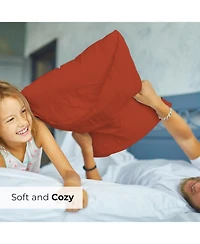 Soft Microfiber Pillowcase Set of 2