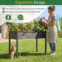 Wooden Raised Vegetable Garden Bed Elevated Grow Vegetable Planter