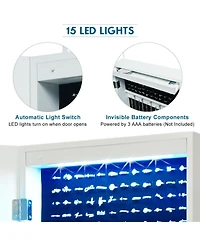Door Mounted Lockable Mirrored Jewelry Cabinet with Led Lights