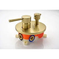 Brushed Gold Wall Mounted Shower System