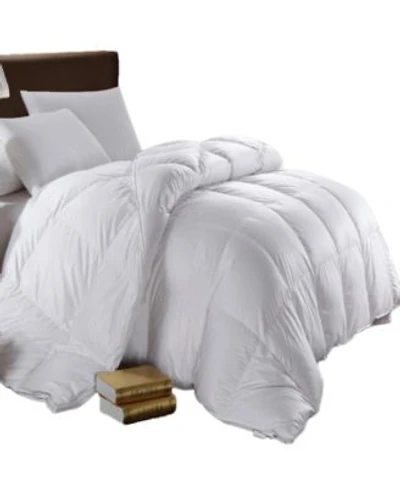 Egyptian Linens 750 Fill Power Oversized Goose Down Comforter Oversize