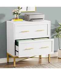 Tribesigns 2 Drawer File Cabinet, Modern Lateral Filing Cabinet for Letter/Legal/A4 Size, Large File Storage Cabinets Printer Stand with Storage