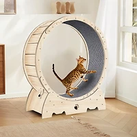 Streamdale Silent, Safe Cat Treadmill Exercise, Health, Safety