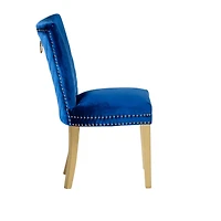 Streamdale Eva 2 Piece Legs Dining Chairs Finished With Velvet Fabric