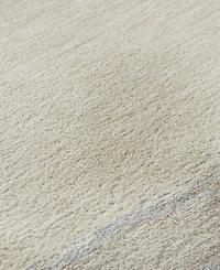 Dalyn Trevi Washable TV8 8'x10' Area Rug