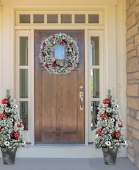 Northlight Pre-Lit Potted Snowy Bristle Pine Artificial Christmas Tree 3'