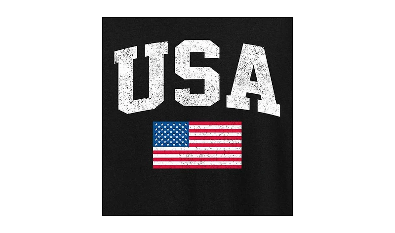 Hybrid Apparel Usa Flag Plus Graphic T-Shirt