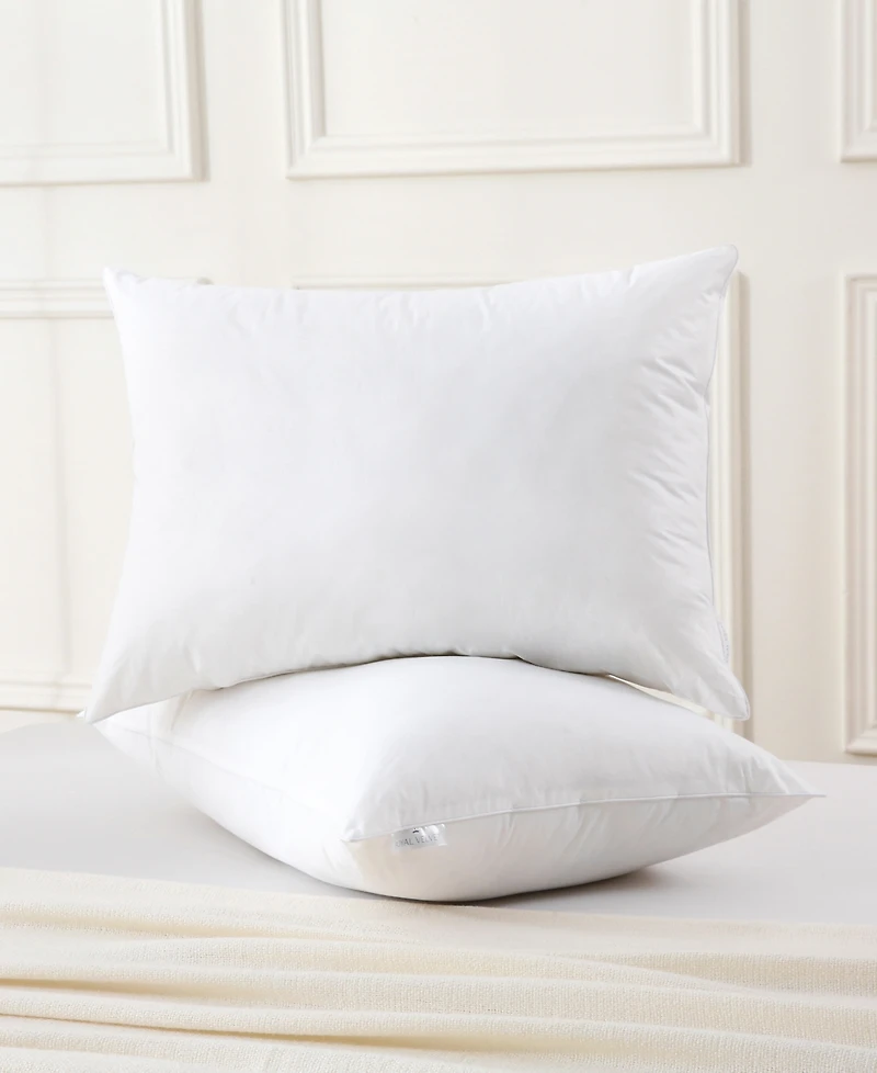 Royal Velvet White Goose Feather and Down Blend 2-Pack Pillow, King