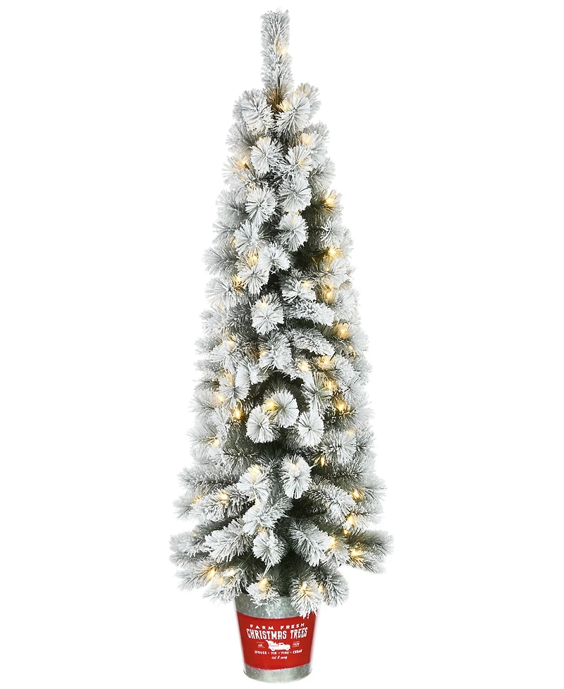 National Tree Company Pre-Lit Feel Real Snowy Pogue Pine Artificial Christmas Entrance Tree 5 ft.