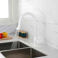 Kitchen Faucet With Pull Out Sprayer