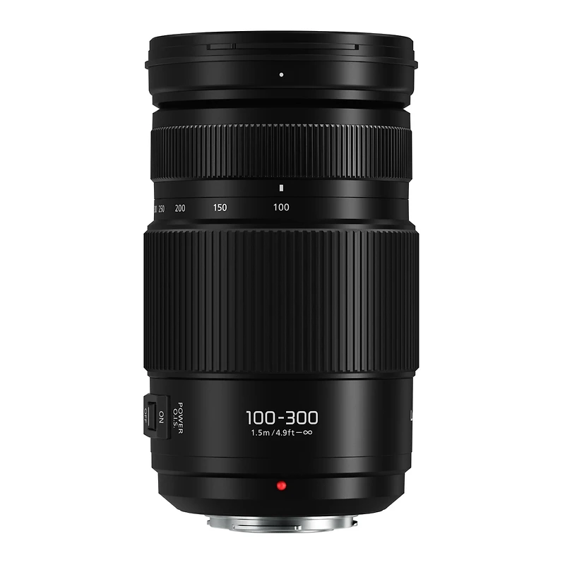 Panasonic Lumix G Vario 100-300mm f/4.0-5.6 Ii Lens for Micro Four Thirds