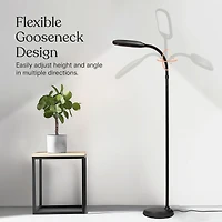 Litespan Slim 55" Led Floor Lamp with Adjustable Color Temperatures