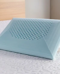 Carpenter Co. Comfort Tech Serene Foam Traditional Pillow, Standard