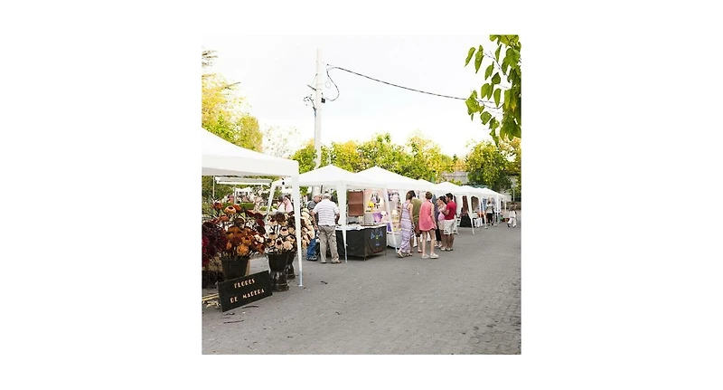 Slickblue 10' x 10' Outdoor Wedding Party Canopy Tent