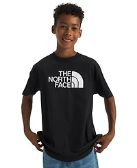 The North Face Big Kids Half Dome Logo T-Shirt