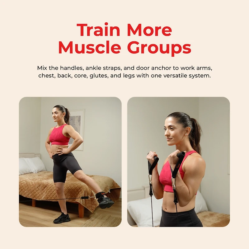 Sunny Health & Fitness Resistance Tube Set, 10-50LBs