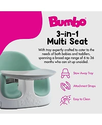 Bumbo Baby Toddler Adjustable 3-in-1 Booster Seat/High Chair & Tray, Hemlock