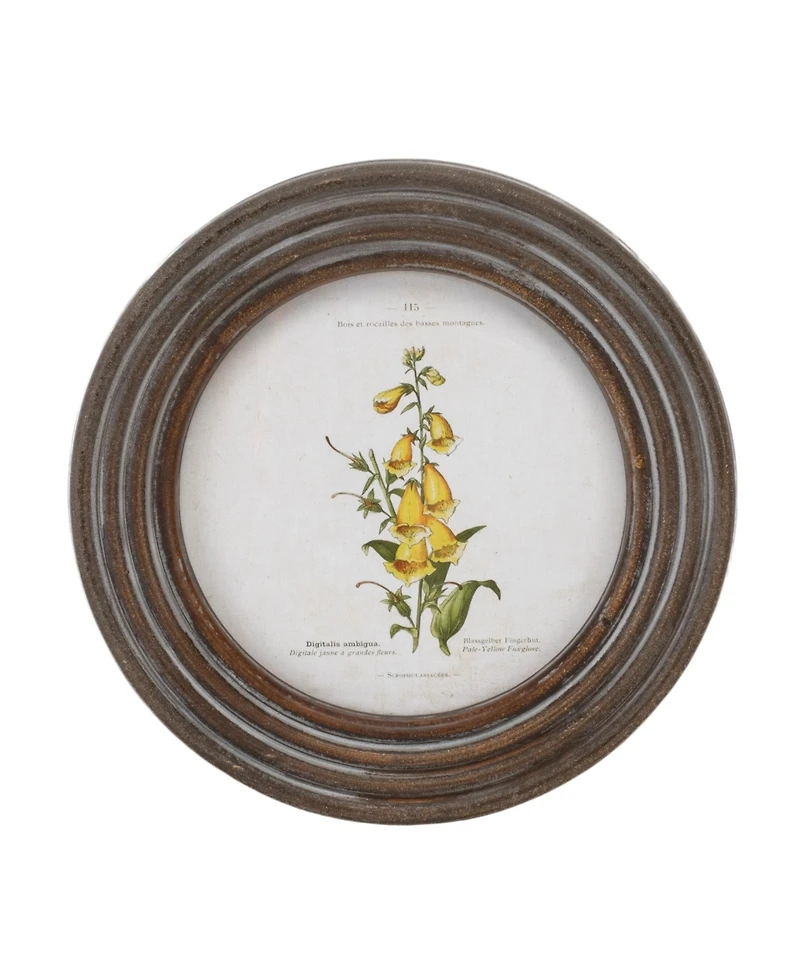 Slickblue Framed Floral Print (Set of 6) 9.5"D Wood/Mdf/Glass