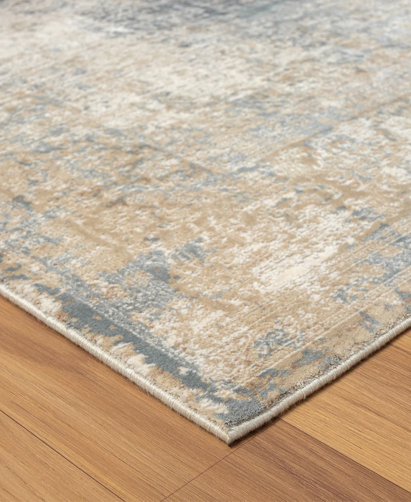 Lr Home Cherry-318 2'6''x9'9'' Runner Area Rug