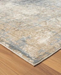 Lr Home Cherry-318 2'6''x9'9'' Runner Area Rug