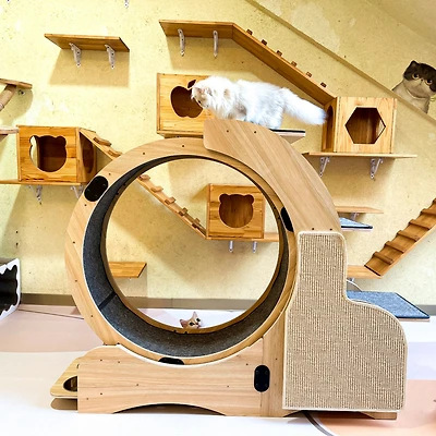 Streamdale 5-in-1 Cat Haven Play, Scratch, Climb, Rest
