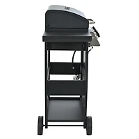 Streamdale 3-Burner Stainless Steel Propane Gas Grill