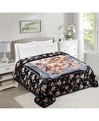 Clara Clark Heavy & Warm Korean Style Reversible Printed Raschel Mink Bed Blanket - Wrinkle Free Fade Resistant Queen 79x94 Inches 9 Lbs.