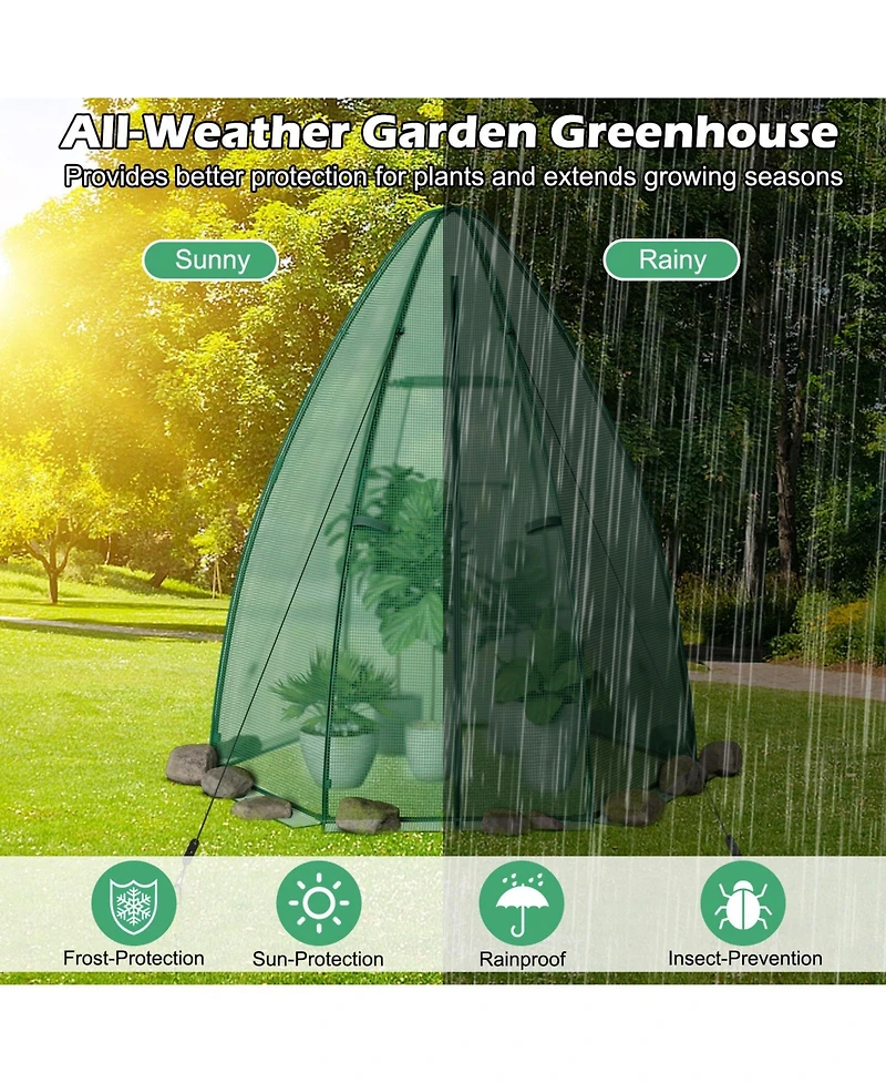 Skonyon 5.5 x 5.5 x 6 Feet Portable Mini Greenhouse with All-Weather Pe Cover