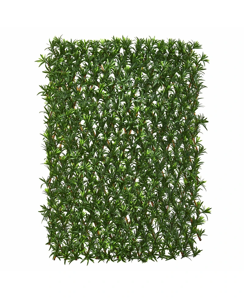 Slickblue Podocarpus Expandable Fence Uv Resistant & Waterproof