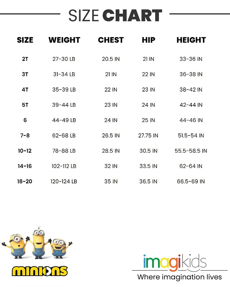 Despicable Me Little Boys Minions Zip Up Costume Coverall to