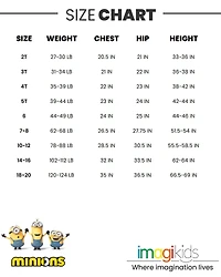 Despicable Me Little Boys Minions Zip Up Costume Coverall to