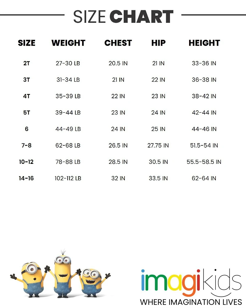 Despicable Me Little Boys Minions Zip Up Costume Coverall to